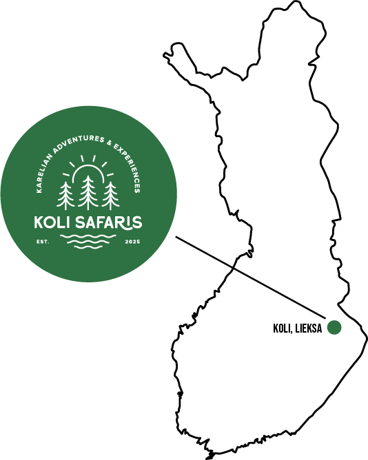 Koli Safaris -  sijainti keskellä kansallismaisemaa