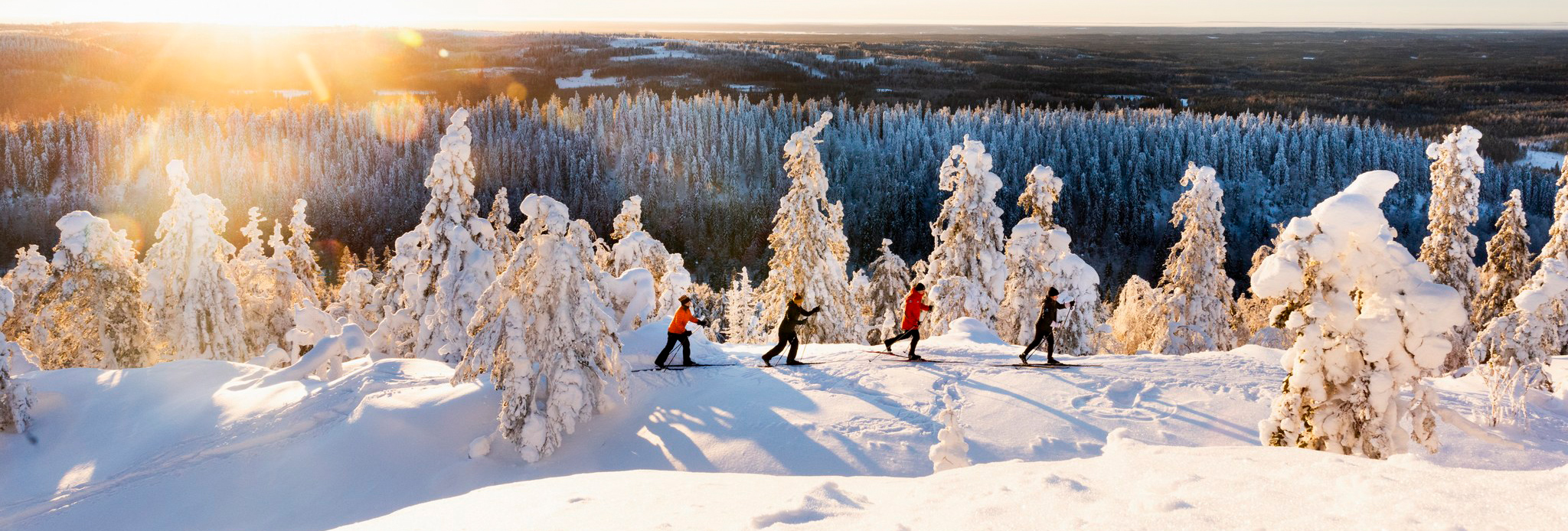 Aktiviteetit & Elämykset