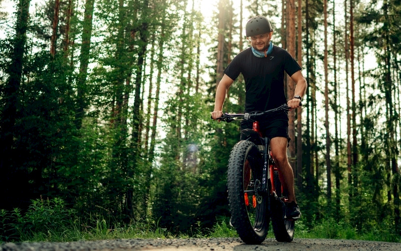 Electric Fatbike