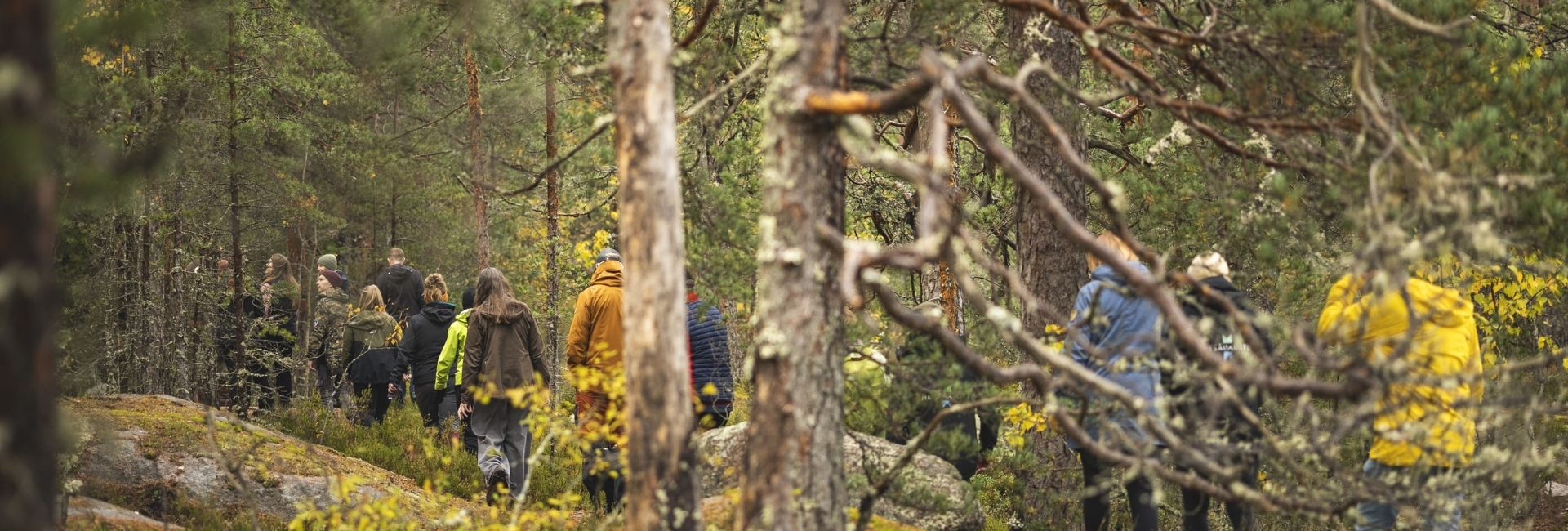 Forest mind retreat in Koli