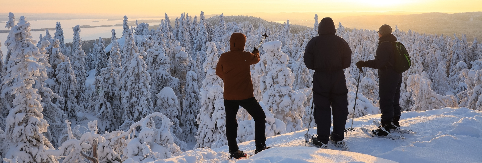 Snowshoeing tour in Koli