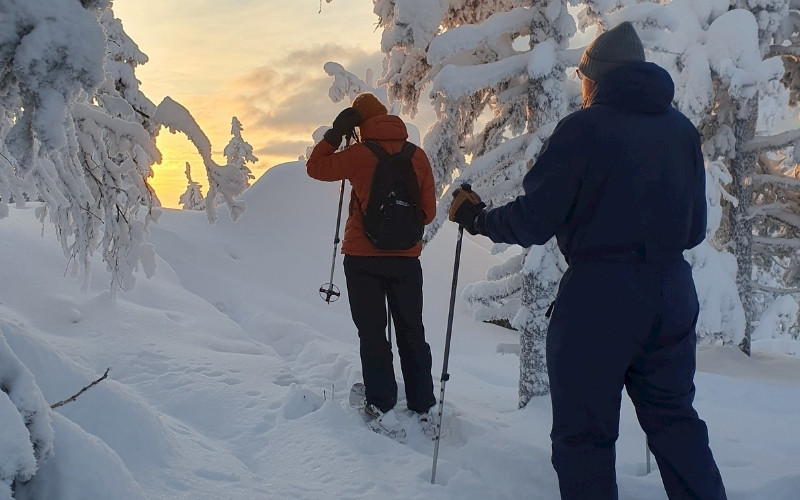Snowshoeing tour in Koli