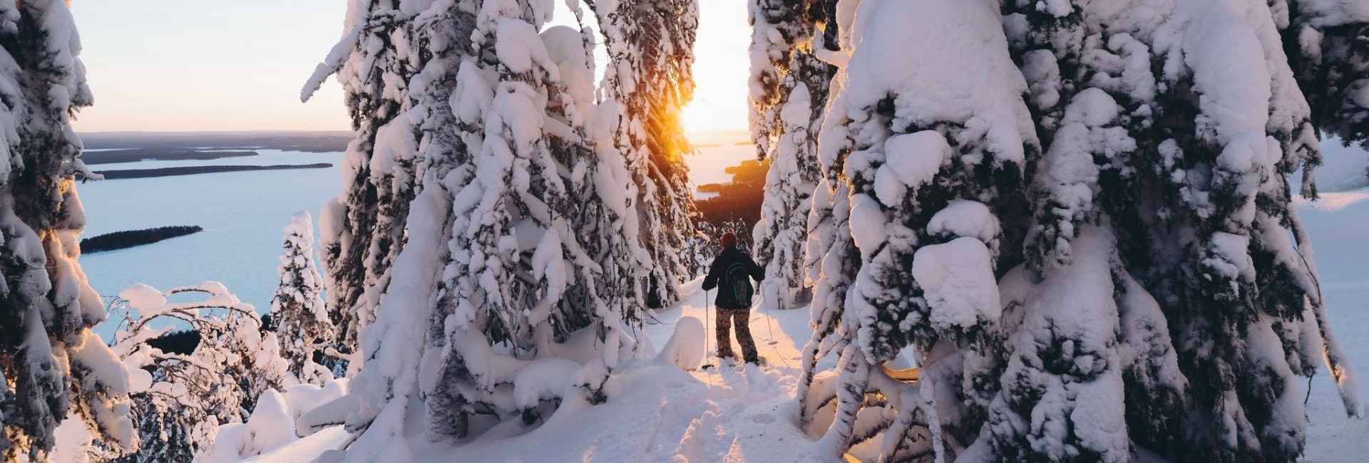 Snowshoeing in Koli