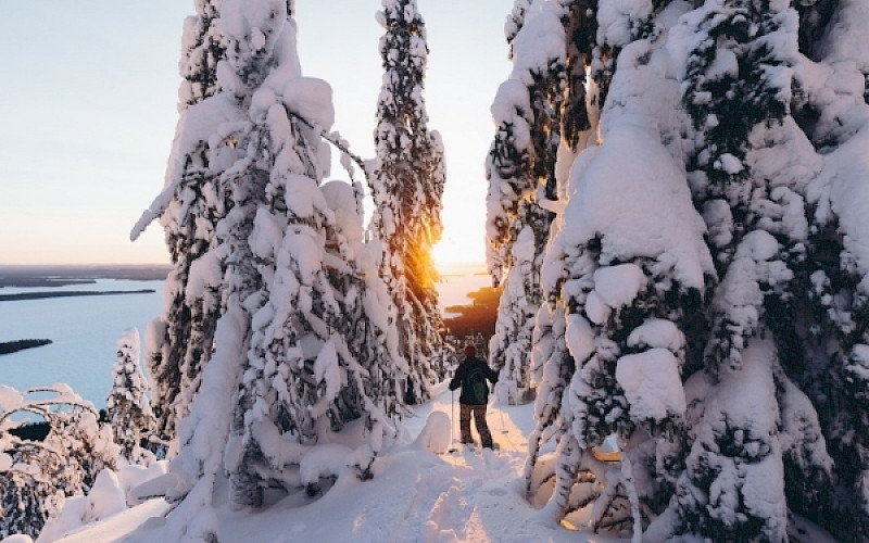 Lumikenkäilyä Kolilla