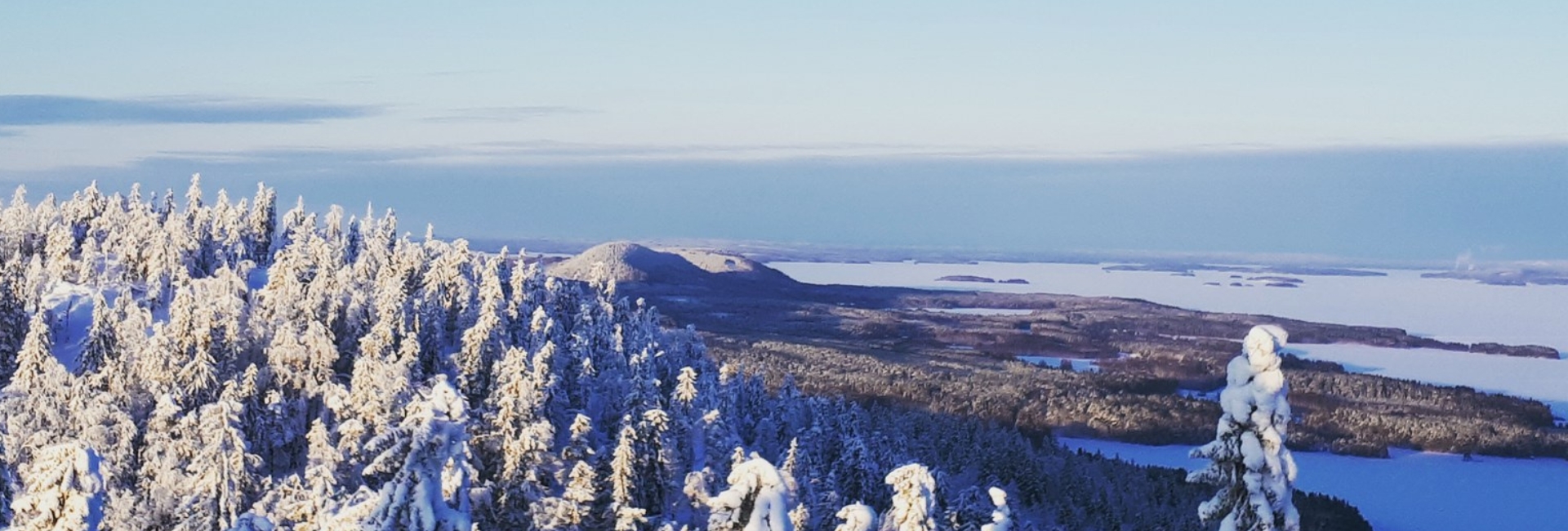 Talvimaisema Kolilla